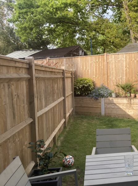 Disguising (but not touching) neighbours fence right outside our back door.