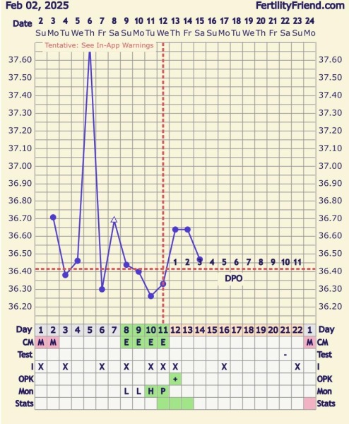 At least we avoided Christmas babies!