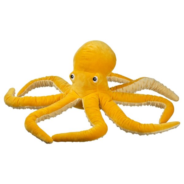 Must have item in your home