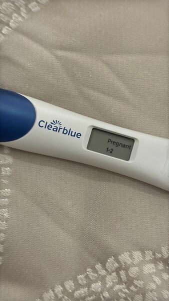 Due February 2026 ✨