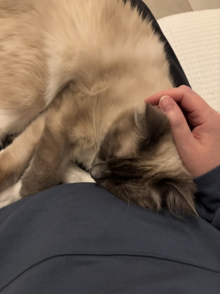 New cat - how concerned should I be?