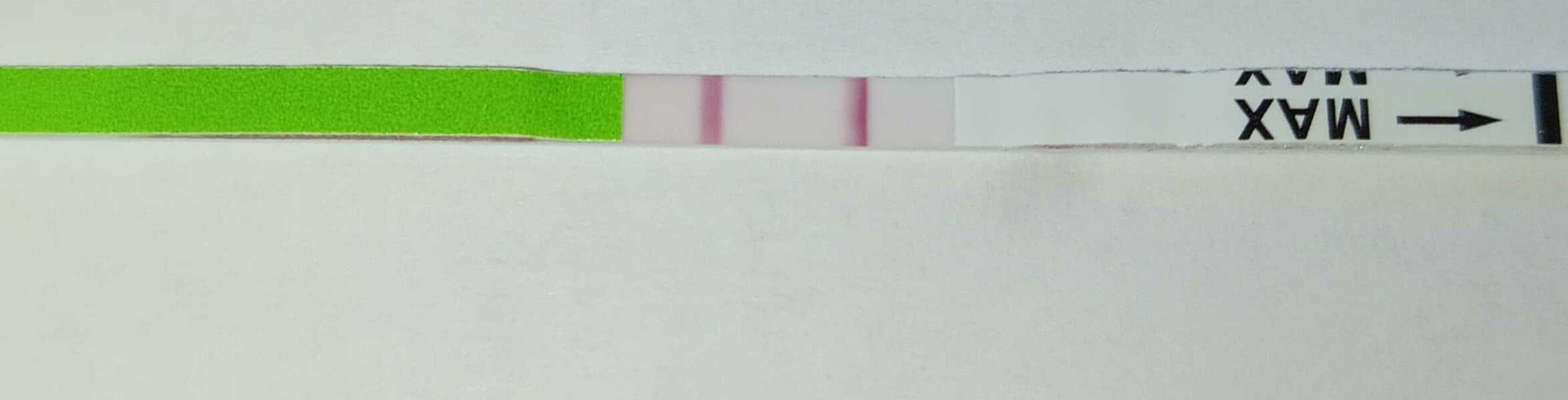 May 2025 TTC Support Thread #2!