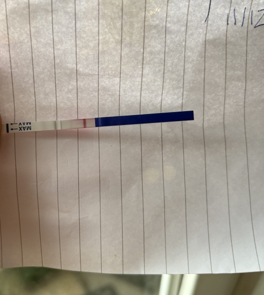 Am I pregnant (test attached)