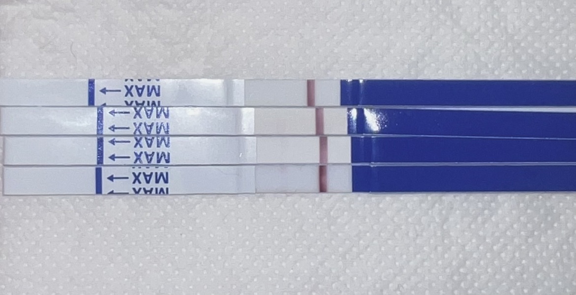 8dpo - evap surely??