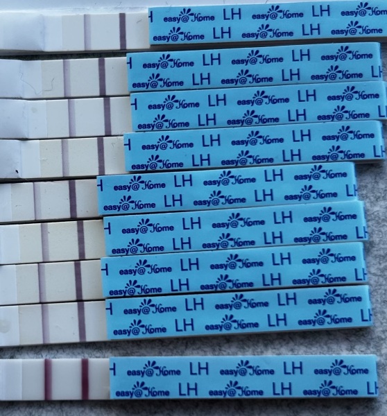 At least we avoided Christmas babies!