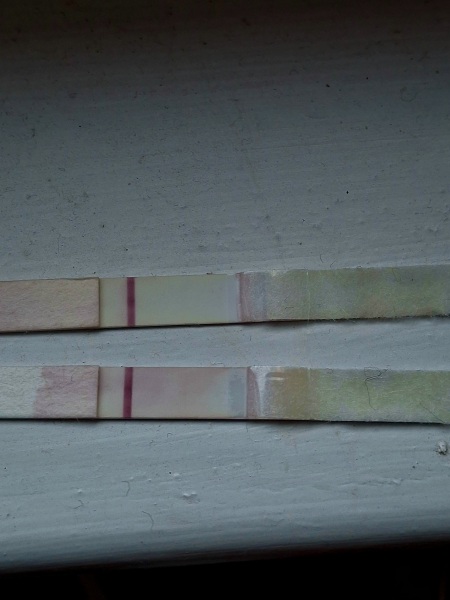 Not sure what to think?