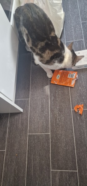 Thread 24 Starmer -Casting the net wider