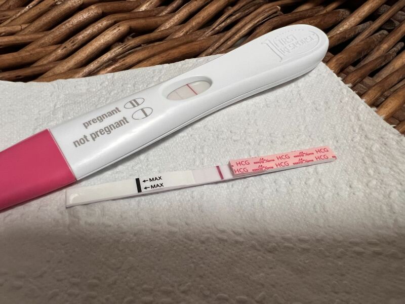 Are these indent lines?