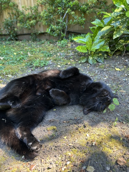 Thread 24 Starmer -Casting the net wider