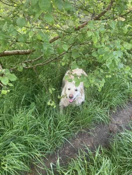 Advise re what’s best for my beautiful girl 😢
