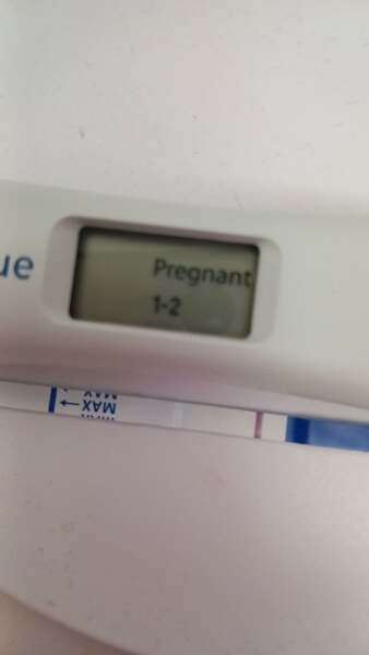Due February 2026 ✨