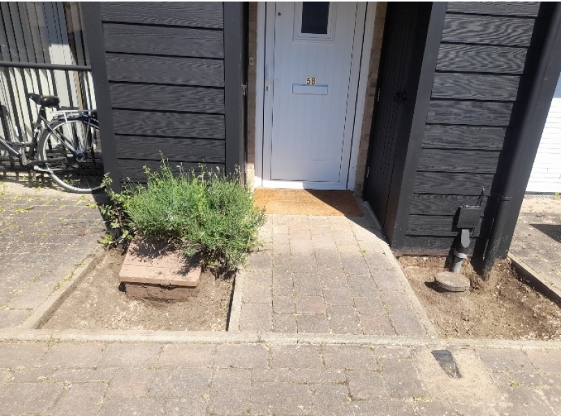 New Planting?