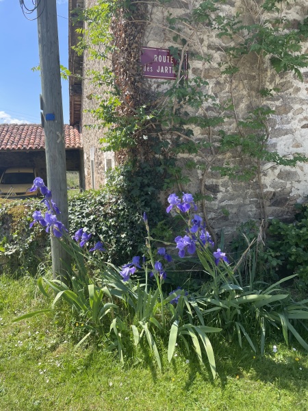 Thread 24 Starmer -Casting the net wider