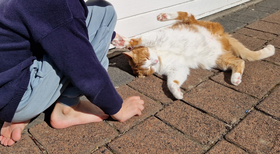 Hymns in Minor Keys & the Russian Easter Overture - the Excellent Cats ignore Culture.....