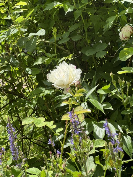 Come and tell us your dull and unexciting news 33: Calmly through the day