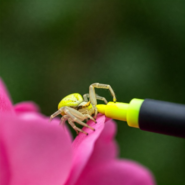 The Bluestocking Women's Pub, where brains can exist in a single state