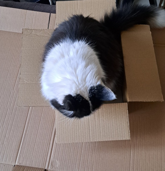 The Bluestocking Women's Pub, where brains can exist in a single state