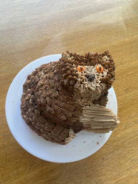 Non professional cake makers - what's the best (easiest) novelty cake you have ever made?