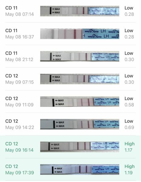 May 2025 TTC Support Thread #2!