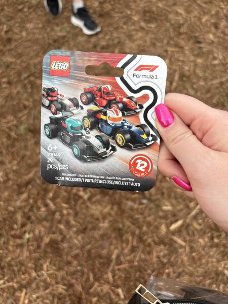 To show me your Lego collection?