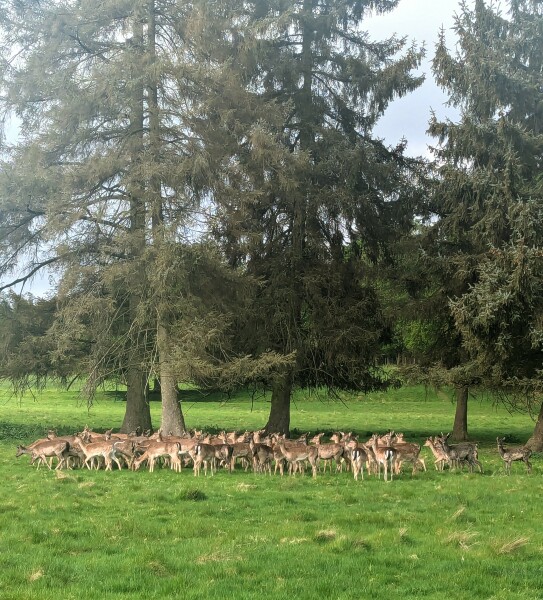 Year round Nigel Slater discussion thread Part 2