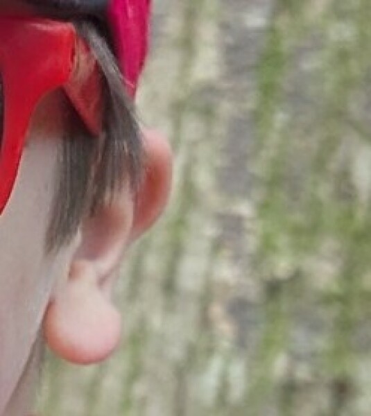 DS (6) earlobes stick outwards