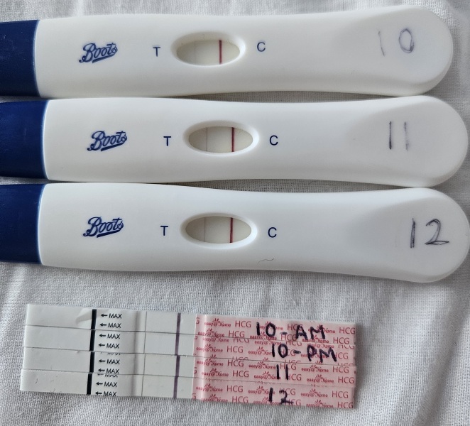 May 2025 TTC Support Thread #2!