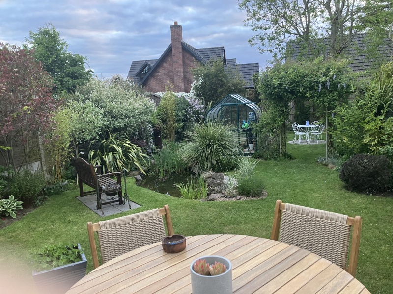 The Bluestocking Women's Pub, where brains can exist in a single state