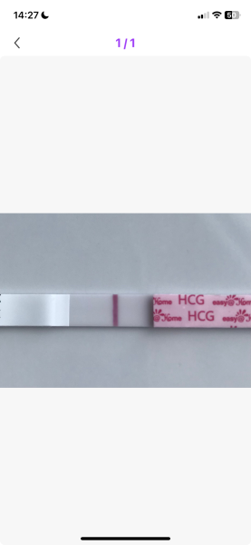 May 2025 TTC Support Thread #2!