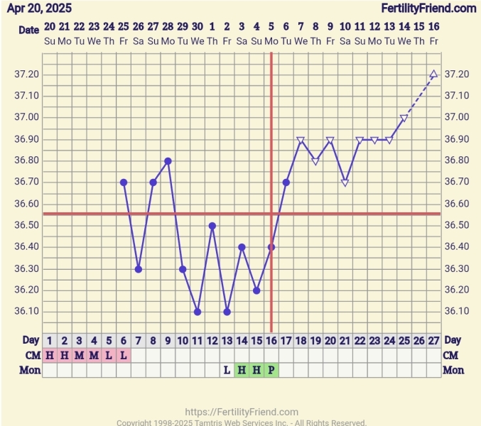 May 2025 TTC Support Thread #2!