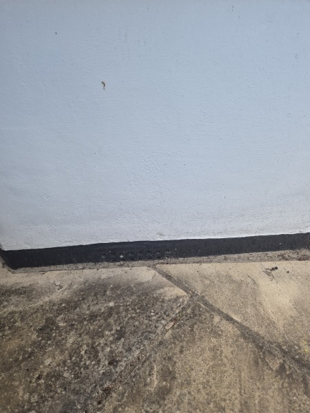 Damp damaging scotia