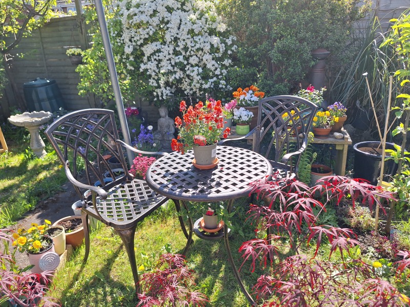 Year round Nigel Slater discussion thread Part 2