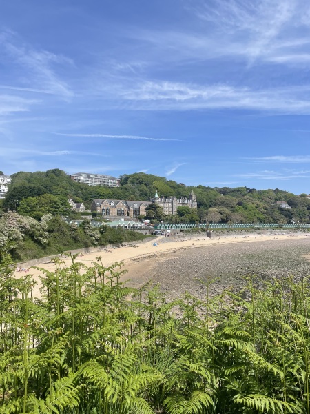 Week 4 (or 5!) Jan '25 Low Carb Bootcamp