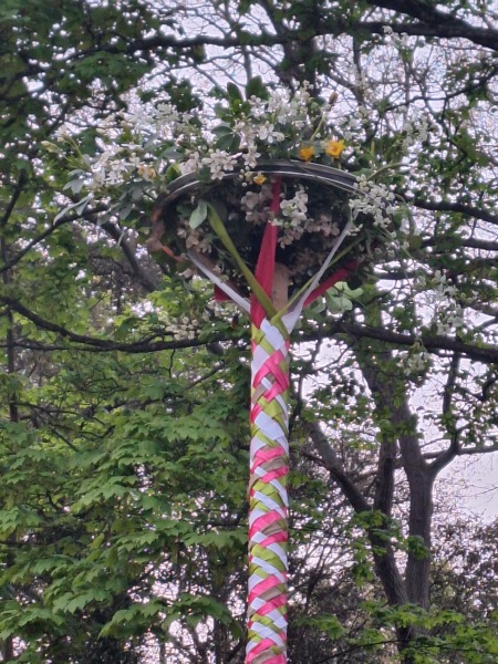 Any Witches Here? Part 21