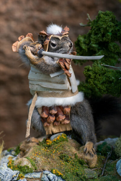 The Bluestocking Women's Pub, where brains can exist in a single state