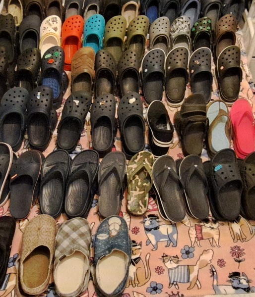 The Bluestocking Arms Women's Pub, where women make friends with Beetles, Androids, Cakes, Dragons, Hedgehogs and other women, where wit and wisdom flourish