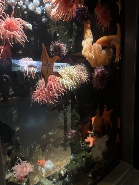 Come and tell us your dull and unexciting news 33: Calmly through the day