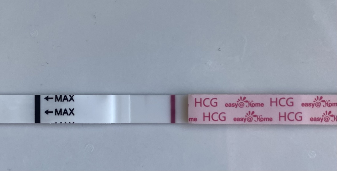 May 2025 TTC Support Thread #2!