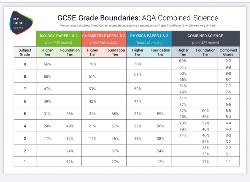 Year 11 - 2024/2025 - In the thick of it!