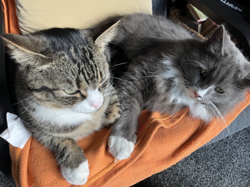 Thread 24 Starmer -Casting the net wider