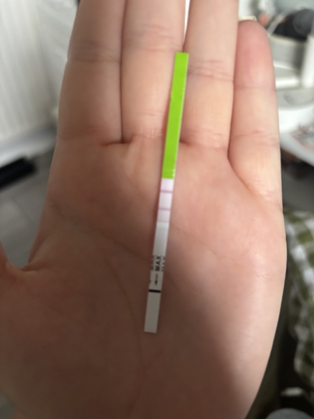 Ovulation test - positive?