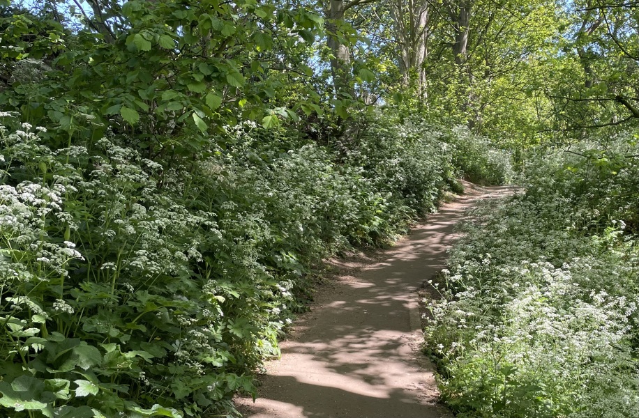 Year round Nigel Slater discussion thread Part 2