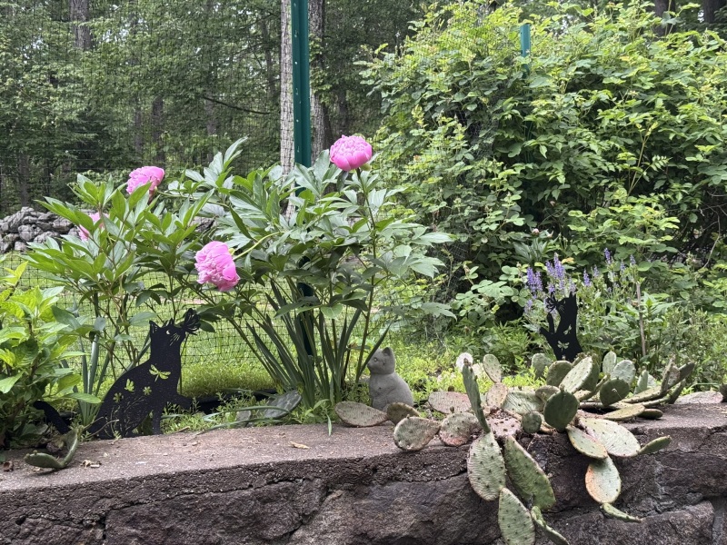 Come and tell us your dull and unexciting news 33: Calmly through the day