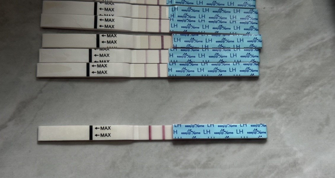 Anyone got pregnant after miscarriage+after first period returned?