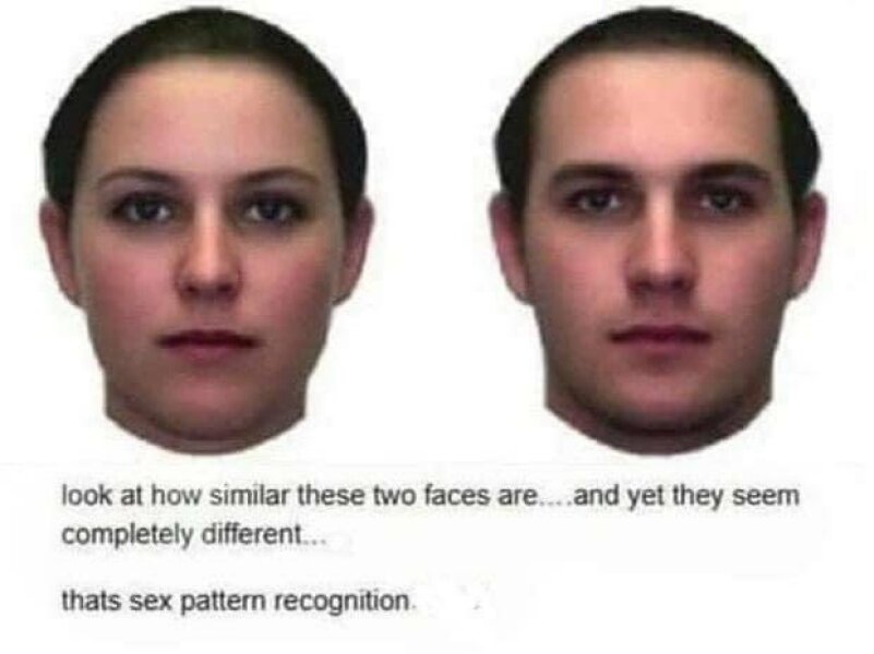 Jolyon Maugham says his wife was targeted in changing room