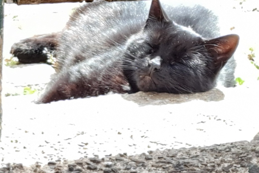 The Bluestocking Women's Pub, where brains can exist in a single state