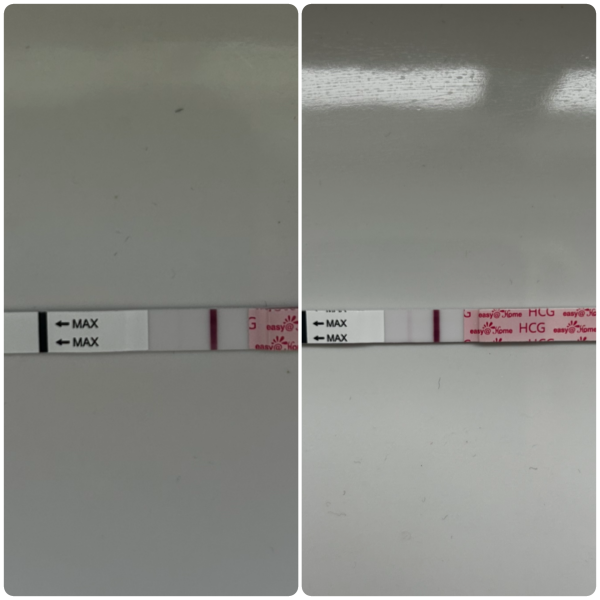 10DPO V 11DPO Line Progression