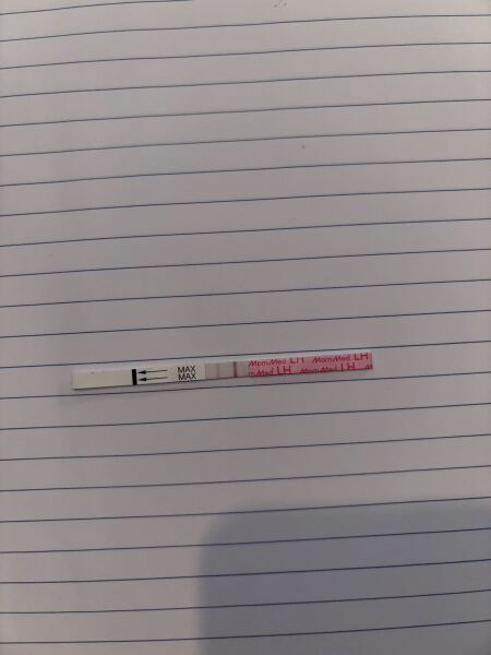 Ttc, ovulation tests