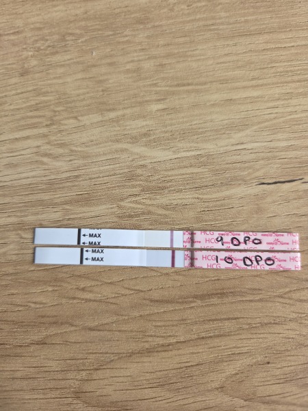 May 2025 TTC Support Group