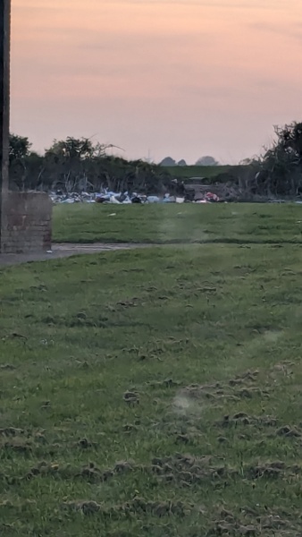 To ask you to sign this? (Not political)